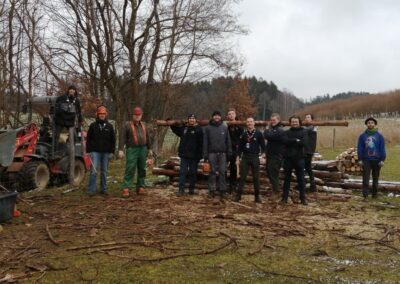 Die Roverrunde des Stamm Staufen macht Brennholz bei der Waldbesitzervereinigung